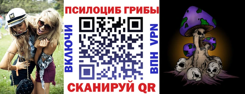 закладка  даркнет официальный сайт  Псилоцибиновые грибы прущие грибы  Суровикино 